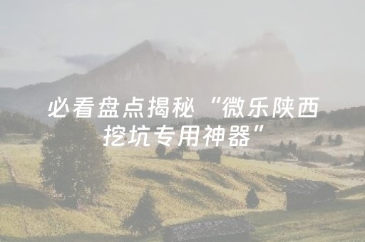 必看盘点揭秘“微乐陕西挖坑专用神器”（AI辅助胡牌规则)