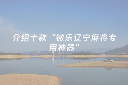 介绍十款“微乐辽宁麻将专用神器”（辅助器插件)