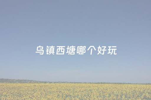 乌镇西塘哪个好玩（西塘和乌镇哪个更值得去在哪里）