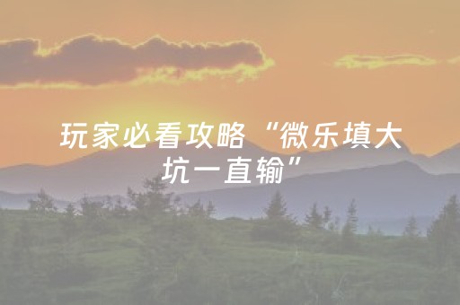 玩家必看攻略“微乐填大坑一直输”（充会员胜率高)