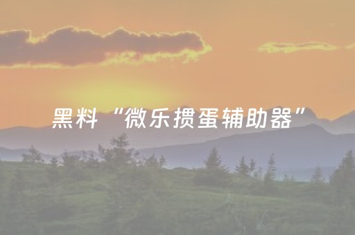 黑料“微乐掼蛋辅助器”（软挂神器)