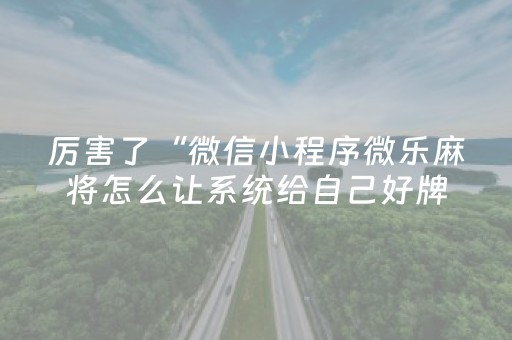 厉害了“微信小程序微乐麻将怎么让系统给自己好牌”（软件出售)