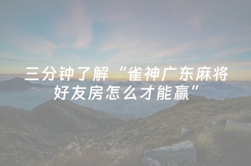 我来教大家“大头十三水通用辅助器（专用辅牌神器免安装）