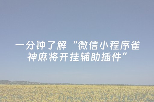 实测分析“微乐内蒙麻将怎样设置好牌”（详细透视教程）-哔哩哔哩