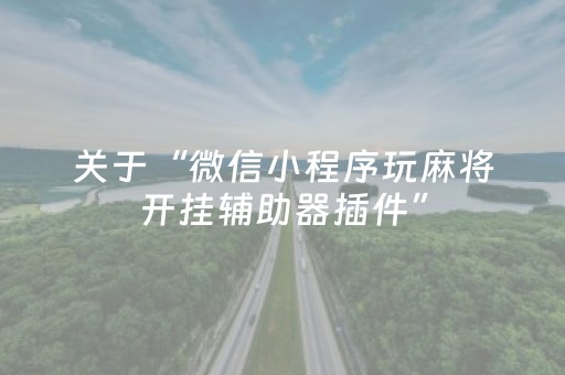 关于“微信小程序玩麻将开挂辅助器插件”（胜率到哪调)
