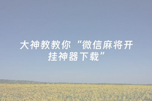 玩家实测“微信小程序雀神辅助器免费下载”（详细透视教程）-哔哩哔哩