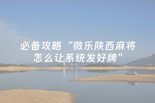 玩家必备教程“牵手跑得快辅助器软件（专用辅牌神器免安装）