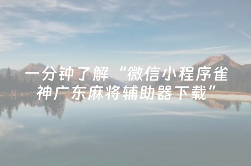 我来教大家“微友时代扫雷挂是真的吗”（详细透视教程）-哔哩哔哩