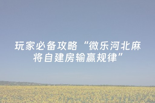 实测分享“微友麻将铺牌器最新免费”（详细透视教程）-哔哩哔哩