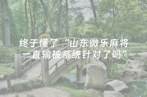 玩家实测“普通自动麻将机可以受电子产品干扰吗？（专用辅牌神器免安装）