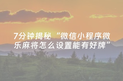 实测辅助“雀神小程序辅助购买”（详细透视教程）-哔哩哔哩