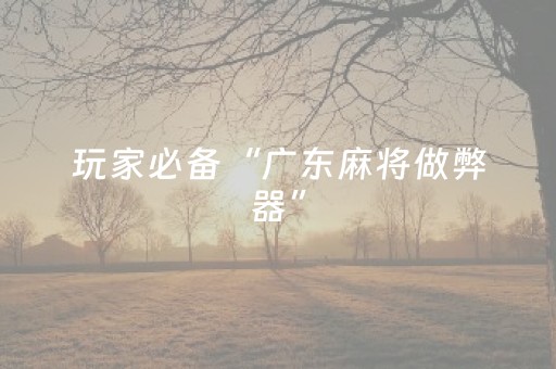 玩家必备“广东麻将做弊器”（怎么设置能有好牌)