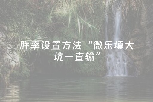 胜率设置方法“微乐填大坑一直输”（装挂怎么安装)