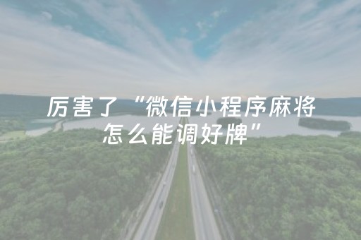 厉害了“微信小程序麻将怎么能调好牌”（怎么能调好牌)