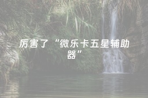 厉害了“微乐卡五星辅助器”（输赢跟id号有关系吗)