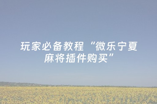 玩家必备教程“微乐宁夏麻将插件购买”（有没有猫腻)