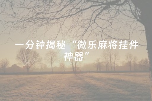 一分钟揭秘“微乐麻将挂件神器”（万能开挂器)
