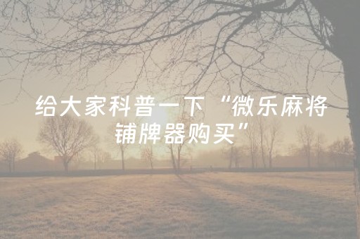 分享辅助“小程序跑得快辅助器（助赢神器通用版）