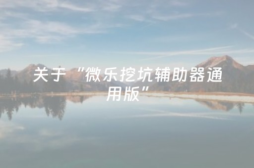 关于“微乐挖坑辅助器通用版”（软件出售)