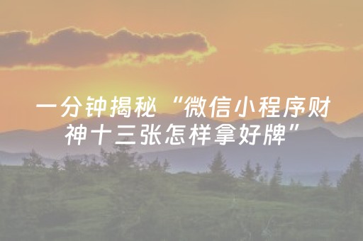 一分钟揭秘“微信小程序财神十三张怎样拿好牌”（技巧和打好牌方法)