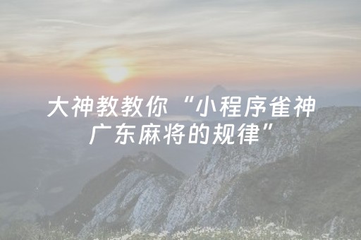 大神教教你“小程序雀神广东麻将的规律”（透明挂辅助器)