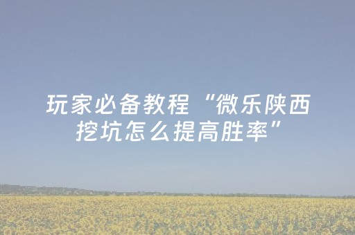 玩家必备教程“微乐陕西挖坑怎么提高胜率”（辅助器下载)