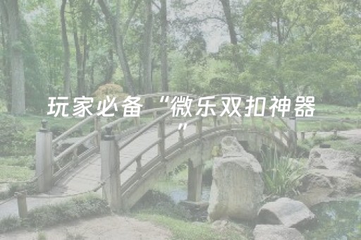 玩家必备“微乐双扣神器”（助攻神器)