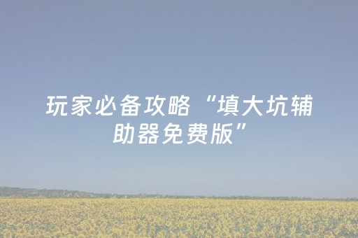 玩家必备攻略“填大坑辅助器免费版”（怎么能让牌好一点)