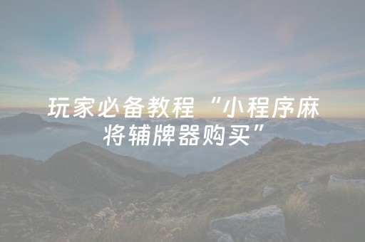 玩家必备教程“小程序麻将辅牌器购买”（AI辅助胡牌规则)