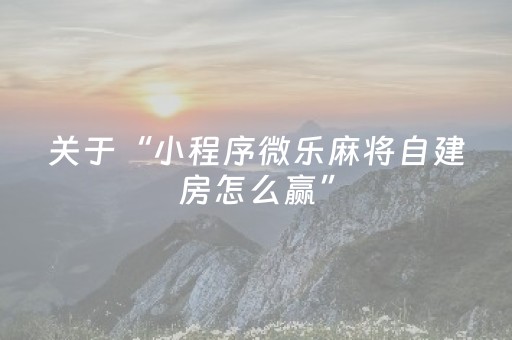 玩家必看攻略“闲逸碰胡辅助神器ios（助赢神器通用版）