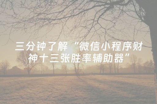 胜率设置方法“手机十三张牌规律（专用辅牌神器免安装）