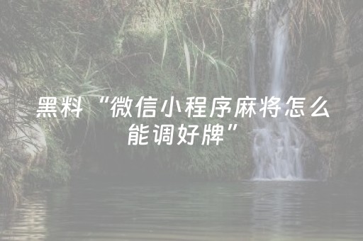 黑料“微信小程序麻将怎么能调好牌”（插件开挂免费AI)