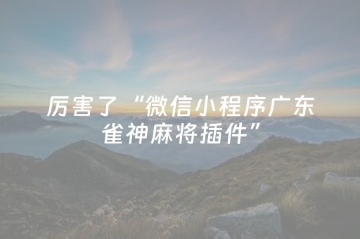厉害了“微信小程序广东雀神麻将插件”（万能开挂器)