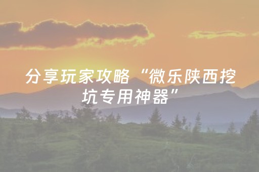 分享玩家攻略“微乐陕西挖坑专用神器”（自建房胜负规律)