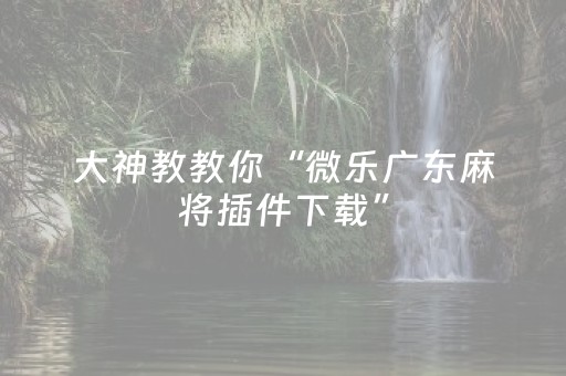 大神教教你“微乐广东麻将插件下载”（通用挂软件多少钱)