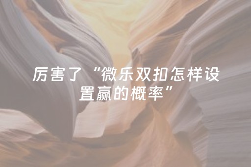 厉害了“微乐双扣怎样设置赢的概率”（开挂辅助插件)
