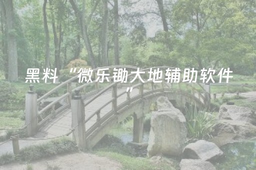 黑料“微乐锄大地辅助软件”（透明挂辅助器)