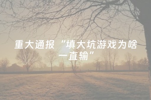 3分钟学会“功夫麻将软挂神器（助赢神器通用版）