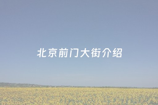 北京前门大街介绍（北京前门大街具体位置）