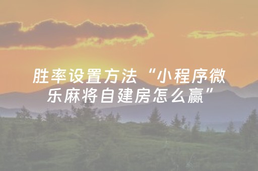 胜率设置方法“小程序微乐麻将自建房怎么赢”（插件可信吗)