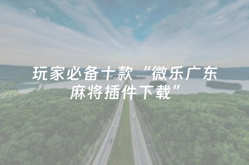 玩家必备十款“微乐广东麻将插件下载”（开挂辅助插件)