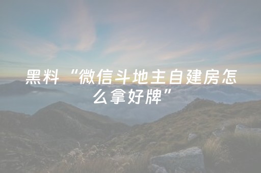玩家实测“微信里打麻将怎么才能赢（助赢神器通用版）