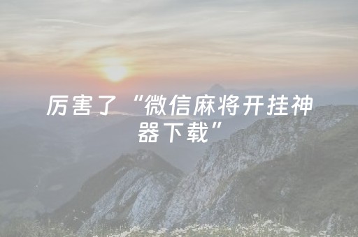 实测结果“陕麻圈捉老麻辅助器（助赢神器通用版）
