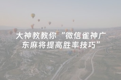 玩家必备教程“程序麻将机视频（专用辅牌神器免安装）