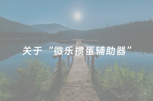 关于“微乐掼蛋辅助器”（专用神器)