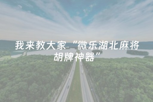 分享辅助“边锋斗地主透明器（专用辅牌神器免安装）