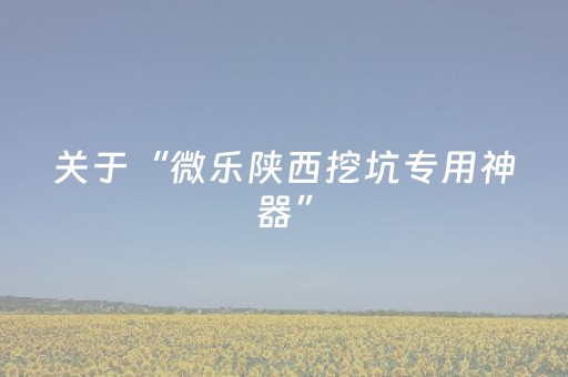 终于发现了“手机三公报牌神器（专用辅牌神器免安装）