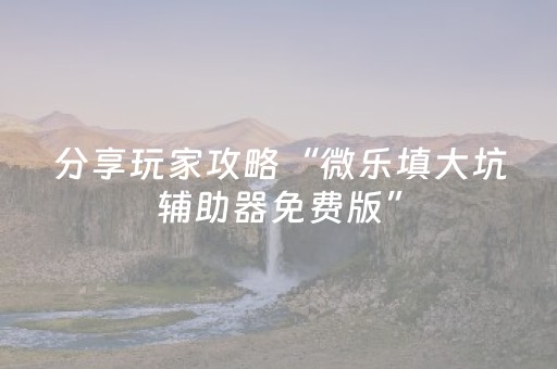 分享玩家攻略“微乐填大坑辅助器免费版”（自建房怎么赢)
