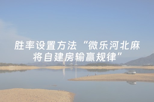 分享辅助“手机金花透明辅助插件（助赢神器通用版）