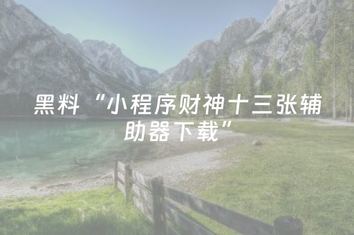 实测辅助“牵手跑胡子辅助器最新版”（详细透视教程）-哔哩哔哩